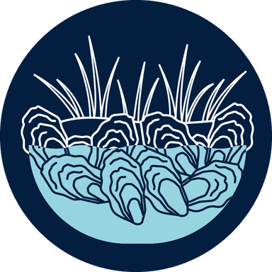 Marsh Dynamics